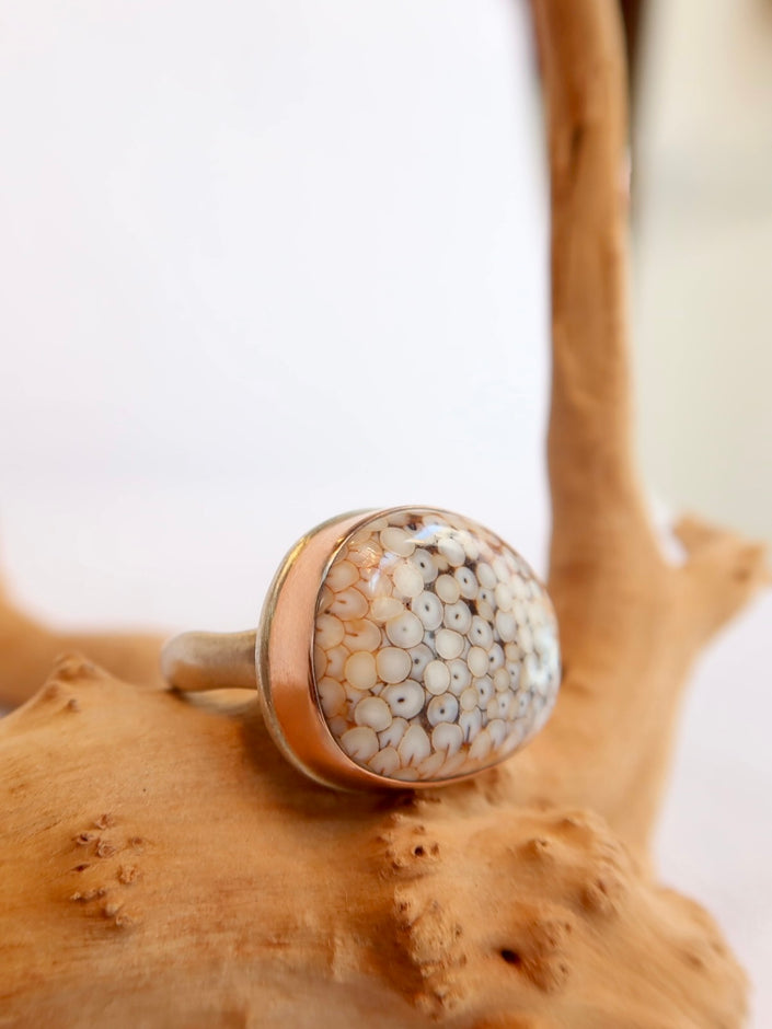 14k Snakeskin Agate Ring - Size 6.75