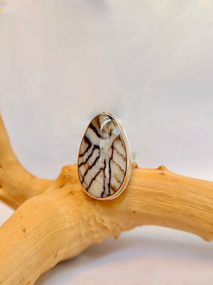 14k Fossilized Wood Ring - 7.75